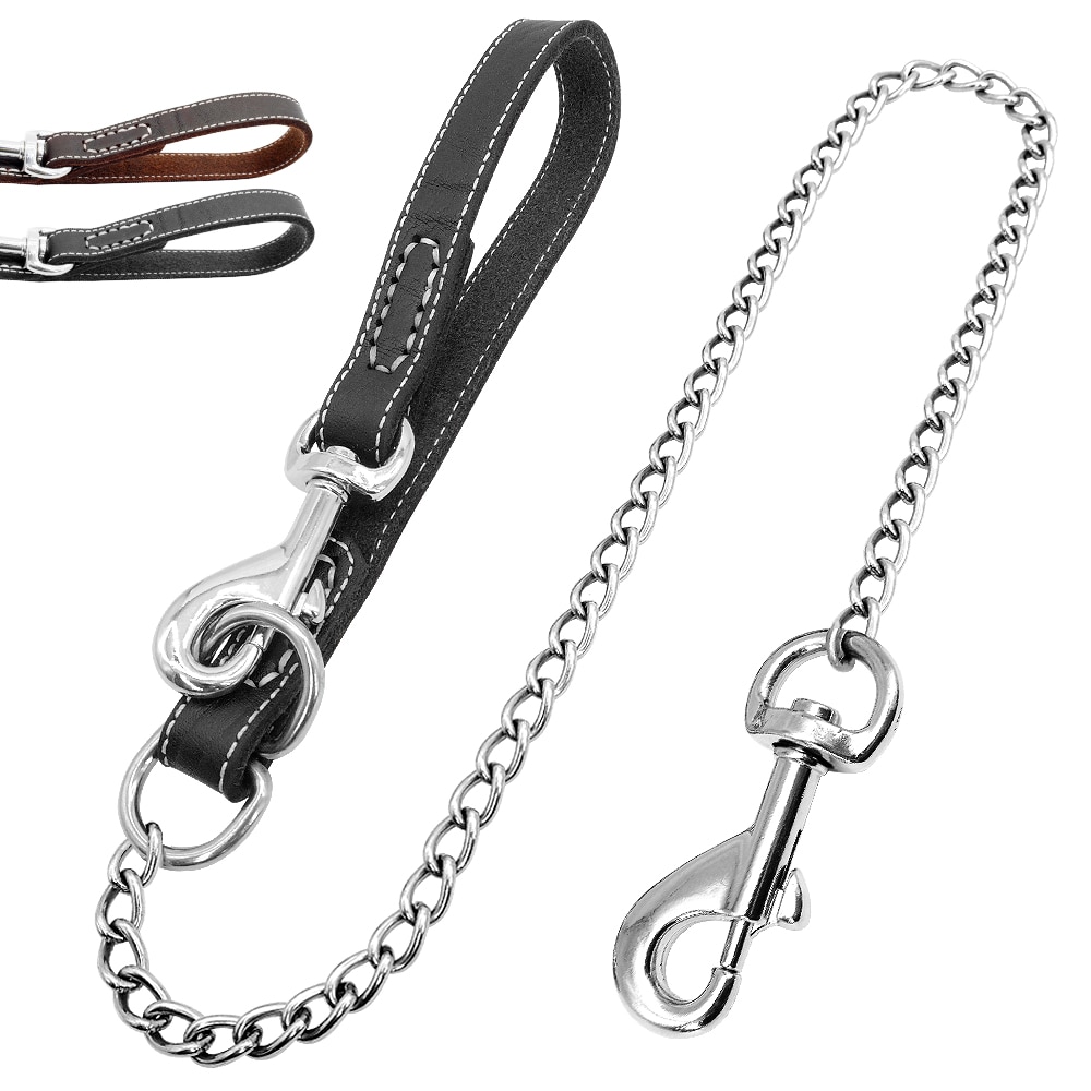 Wire Leash L (With Handle )